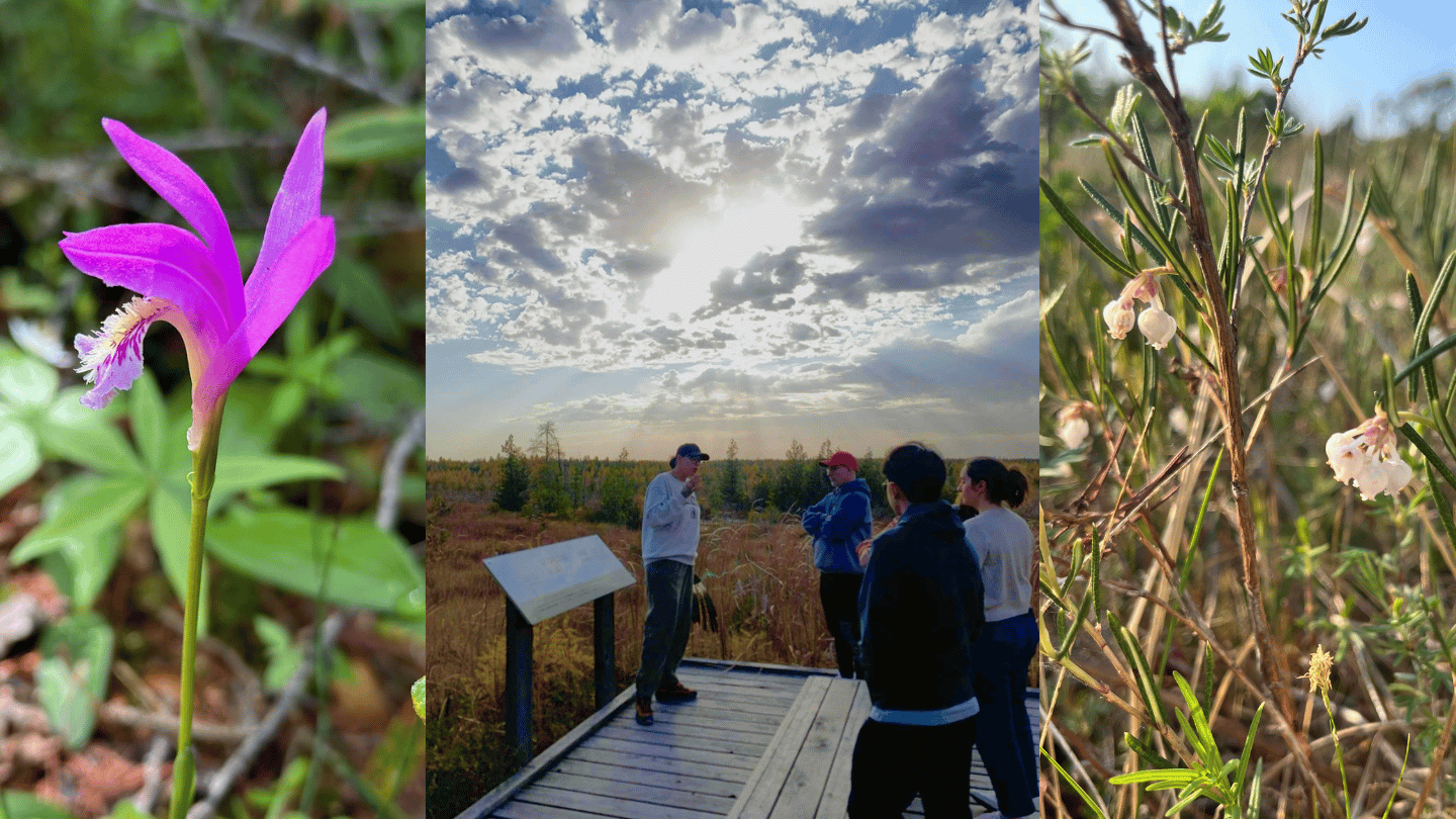 brokehead-wetland-indigenous-interpretive-tour-1